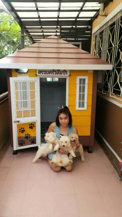 รับสร้างบ้านหมา
