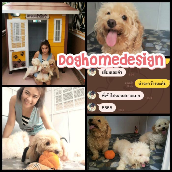 รับสร้างบ้านหมา