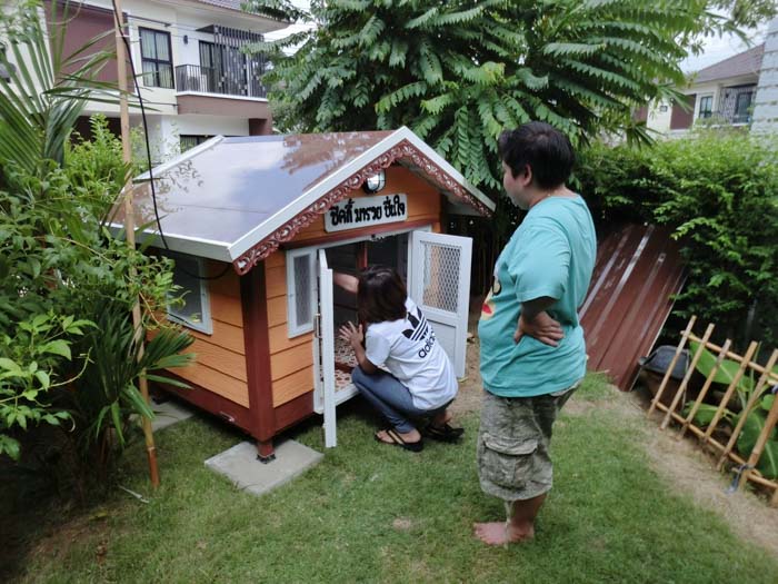 รับสร้างบ้านหมา