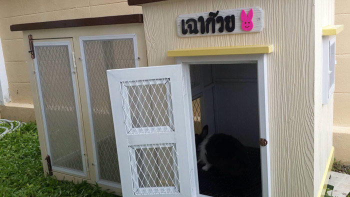 รับสร้างบ้านหมา