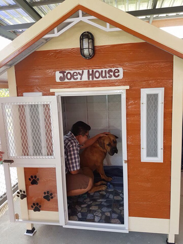 รับสร้างบ้านหมา