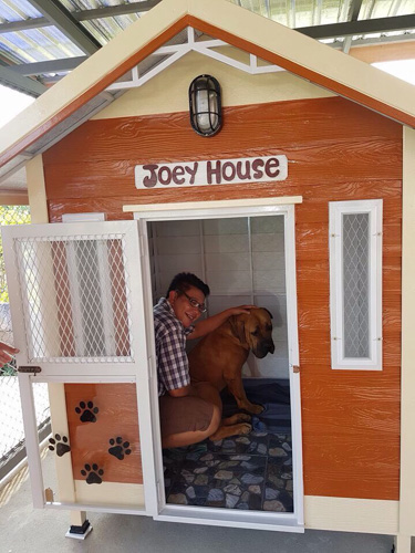 รับสร้างบ้านหมา