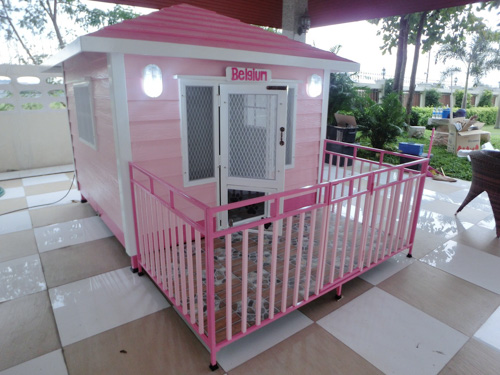 รับสร้างบ้านหมา