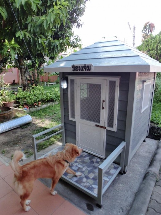รับสร้างบ้านหมา