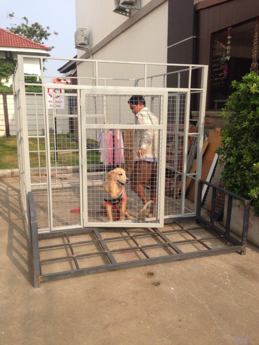 รับสร้างบ้านหมา