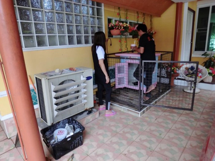 รับสร้างบ้านหมา