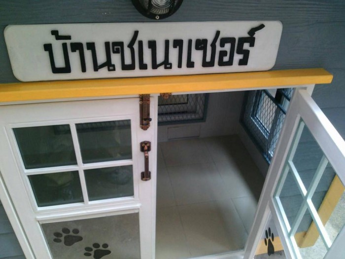 รับสร้างบ้านหมา