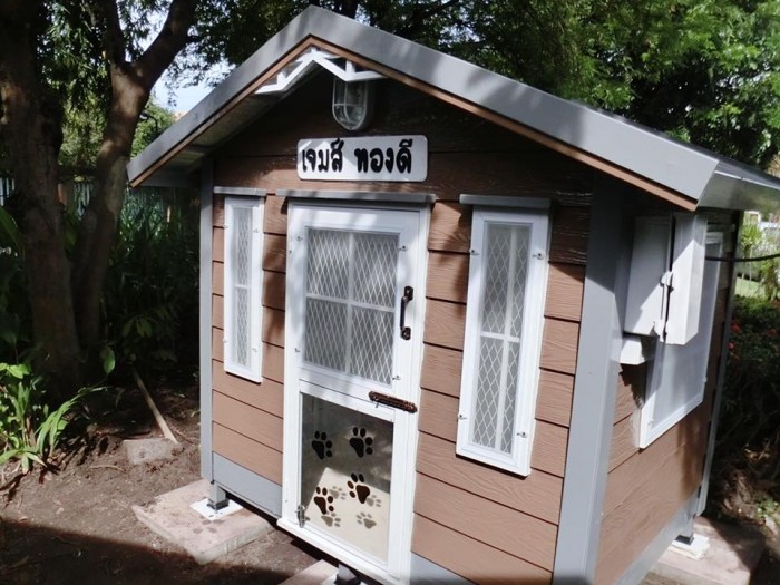 รับสร้างบ้านหมา