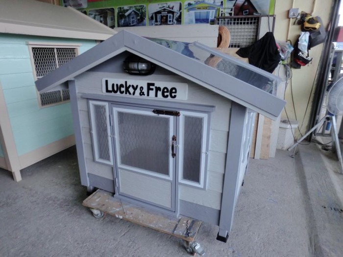 รับสร้างบ้านหมา