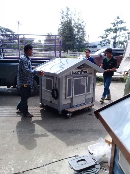 รับสร้างบ้านหมา