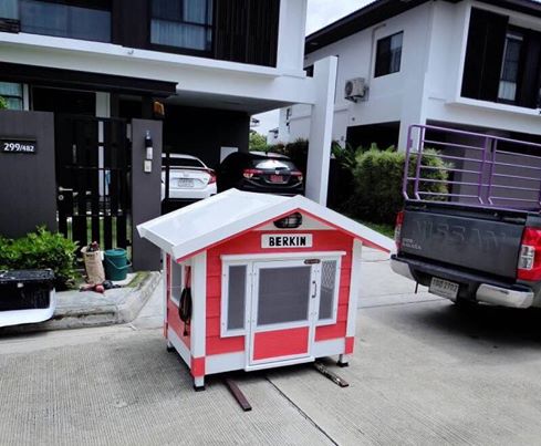 รับสร้างบ้านหมา