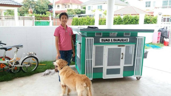 รับสร้างบ้านหมา