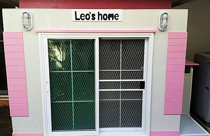 รับสร้างบ้านหมา