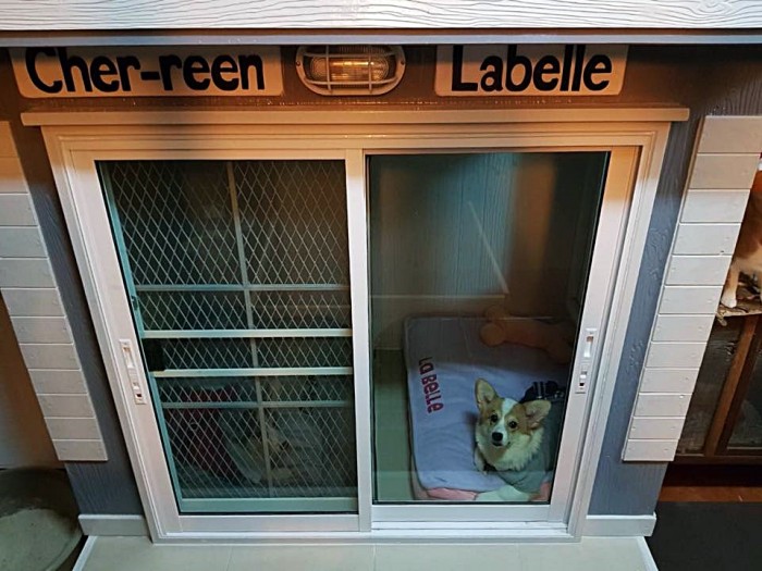 รับสร้างบ้านหมา