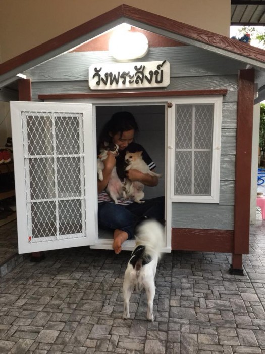 รับสร้างบ้านหมา