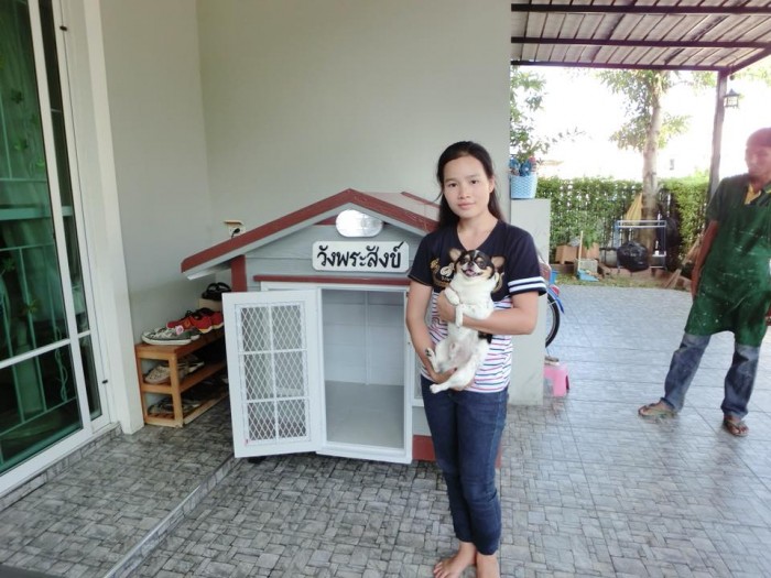 รับสร้างบ้านหมา