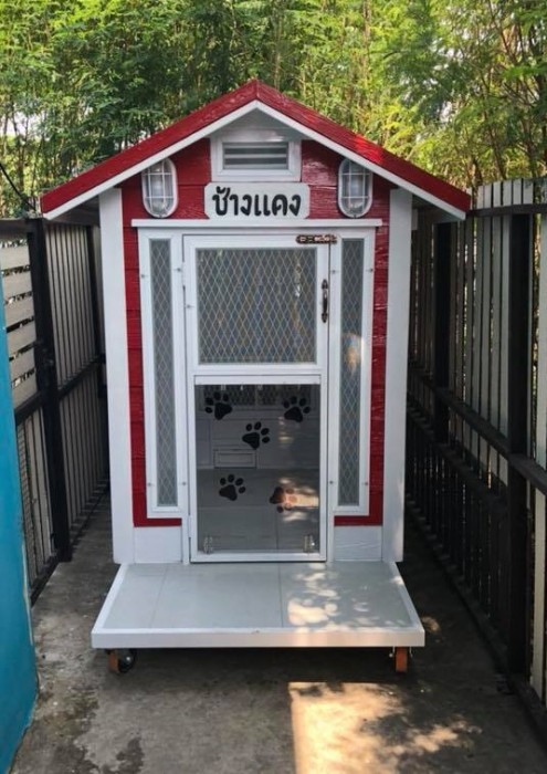 รับสร้างบ้านหมา