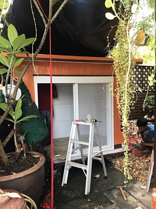 รับสร้างบ้านหมา