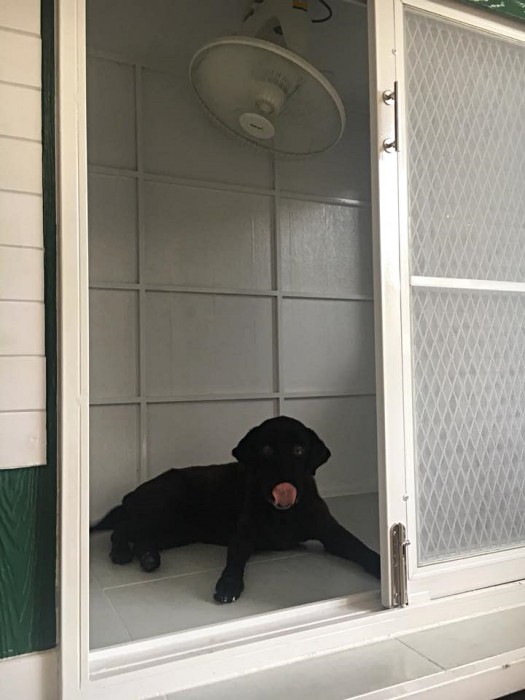 รับสร้างบ้านหมา