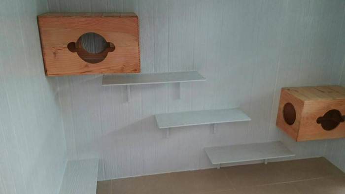 รับสร้างบ้านหมา