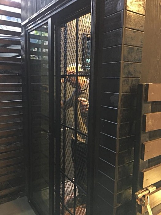 รับสร้างบ้านหมา