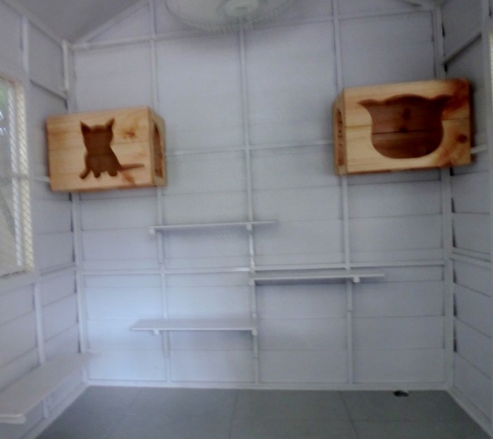 รับสร้างบ้านหมา