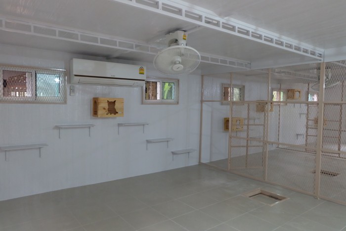 รับสร้างบ้านหมา