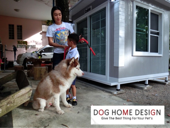รับสร้างบ้านหมา