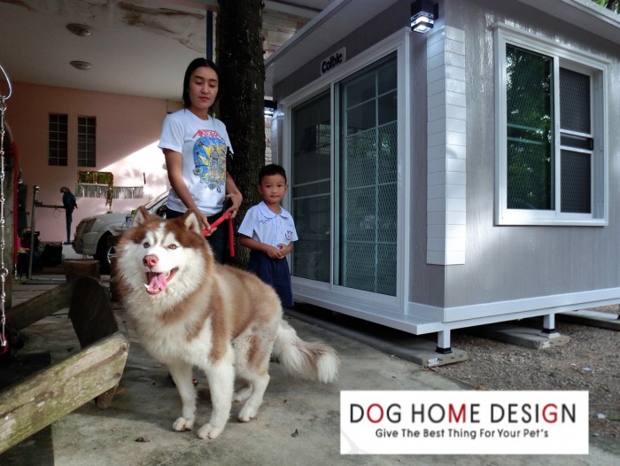 รับสร้างบ้านหมา