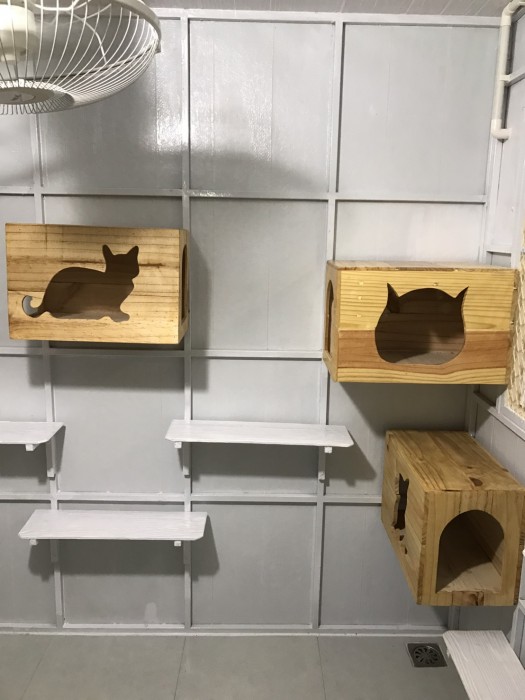 รับสร้างบ้านหมา