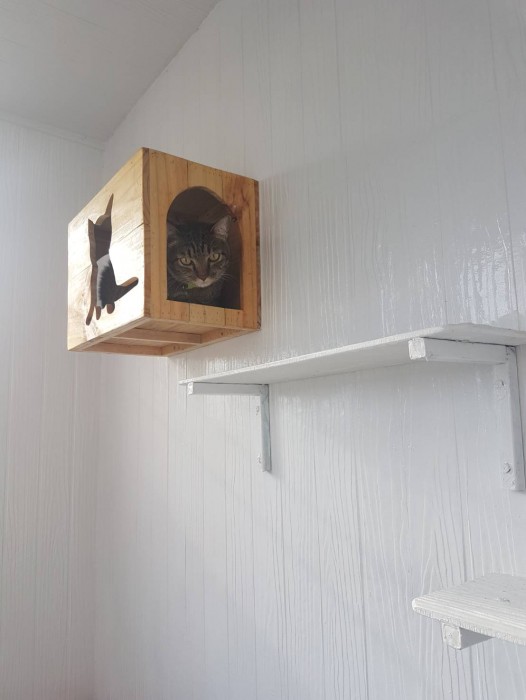 รับสร้างบ้านหมา