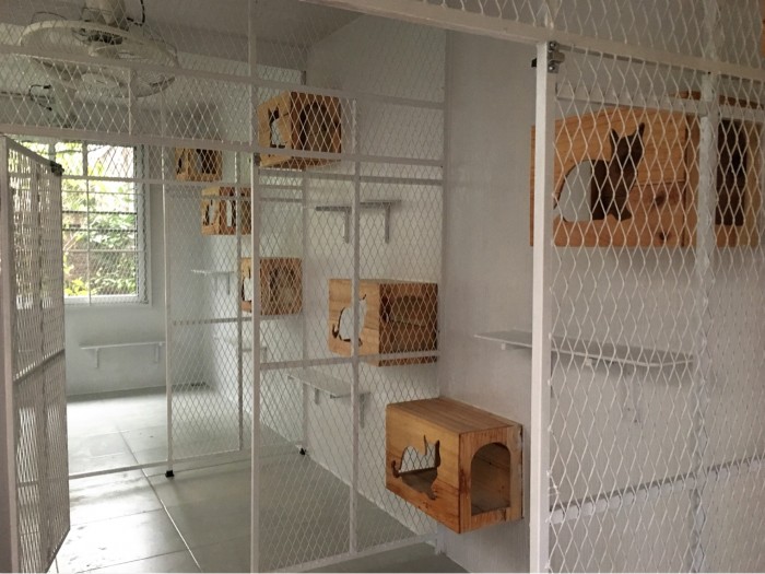 รับสร้างบ้านหมา