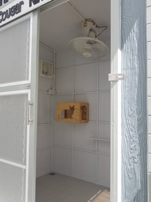 รับสร้างบ้านหมา