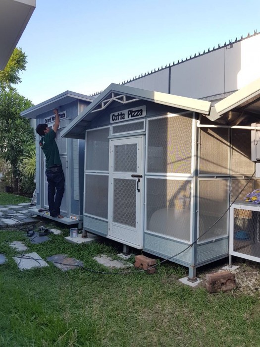 รับสร้างบ้านหมา