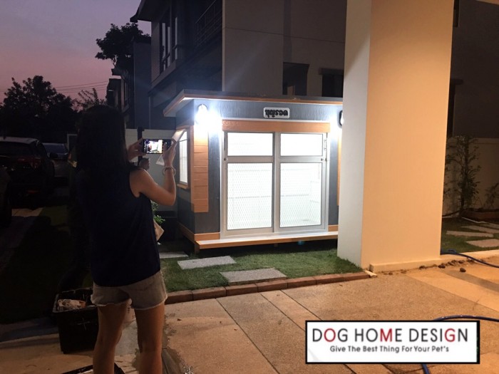 รับสร้างบ้านหมา