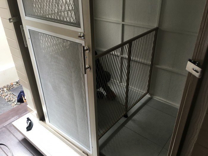 รับสร้างบ้านหมา