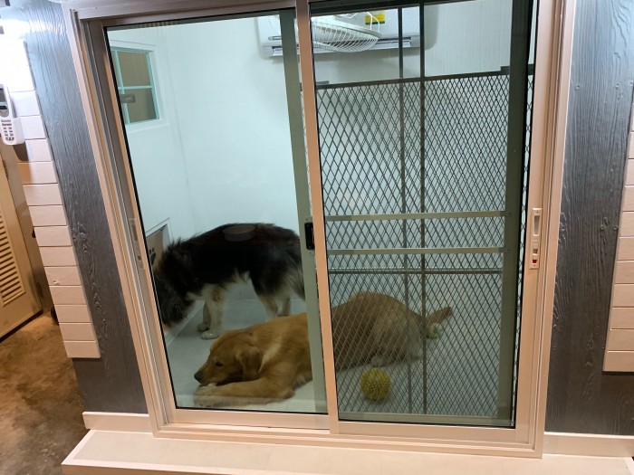 รับสร้างบ้านหมา