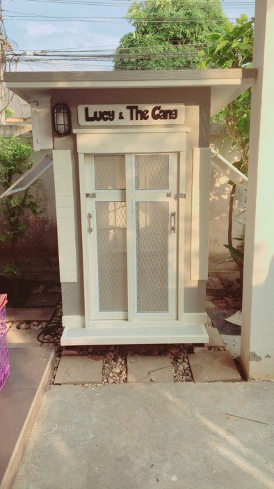 รับสร้างบ้านหมา