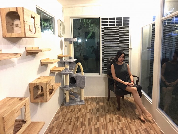 รับสร้างบ้านหมา