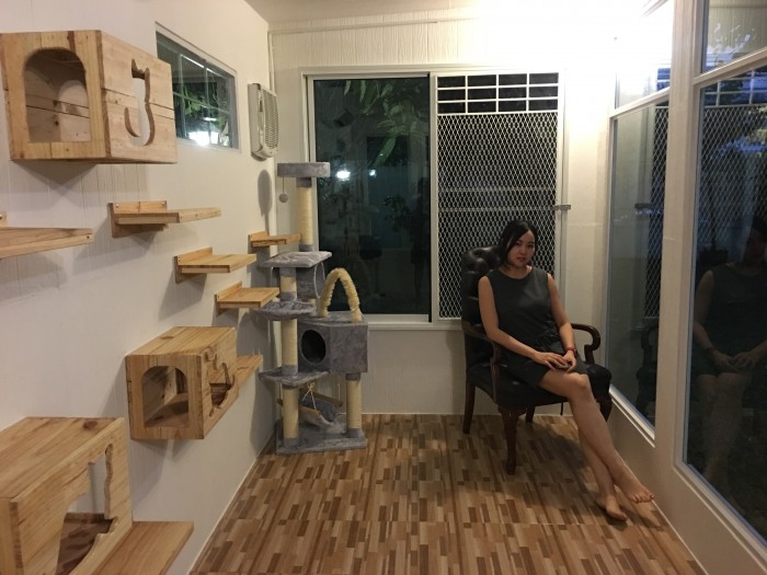 รับสร้างบ้านหมา