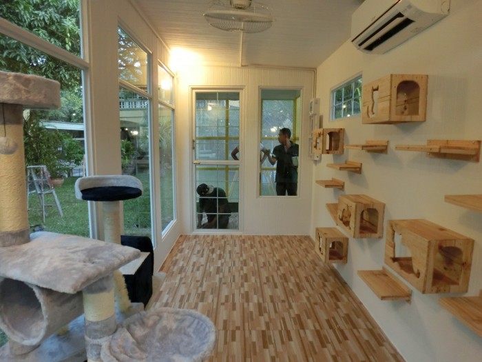 รับสร้างบ้านหมา