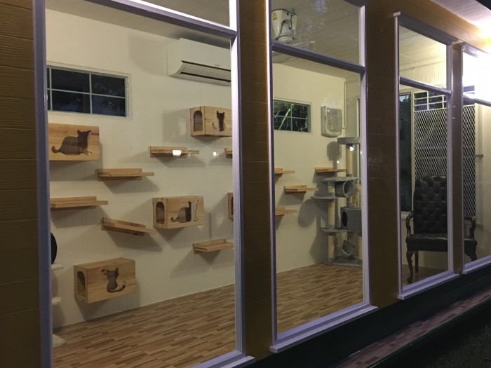 รับสร้างบ้านหมา