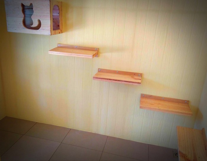 รับสร้างบ้านหมา