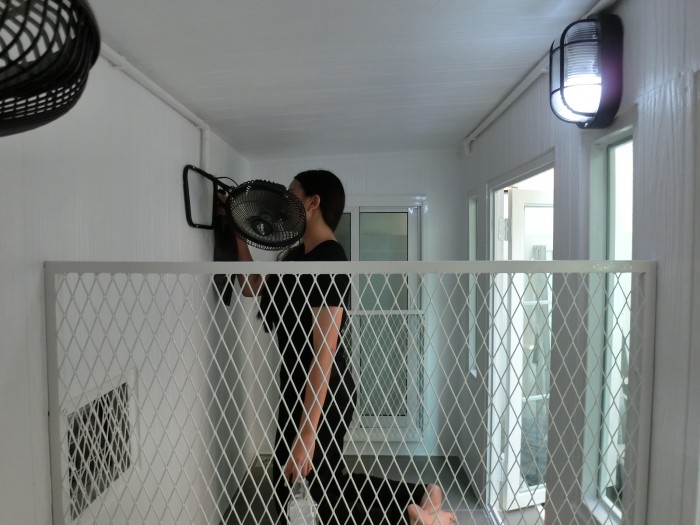 รับสร้างบ้านหมา