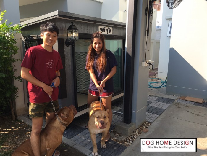 รับสร้างบ้านหมา