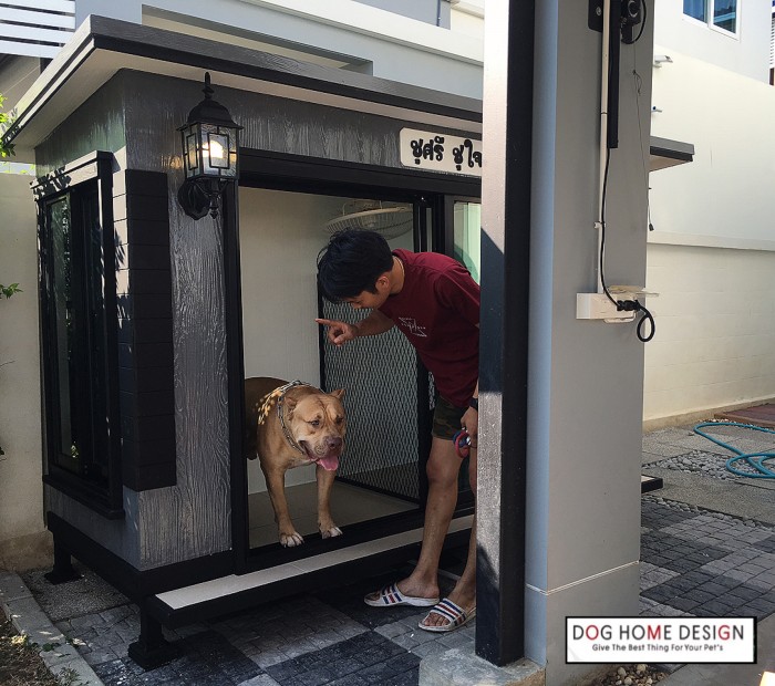 รับสร้างบ้านหมา