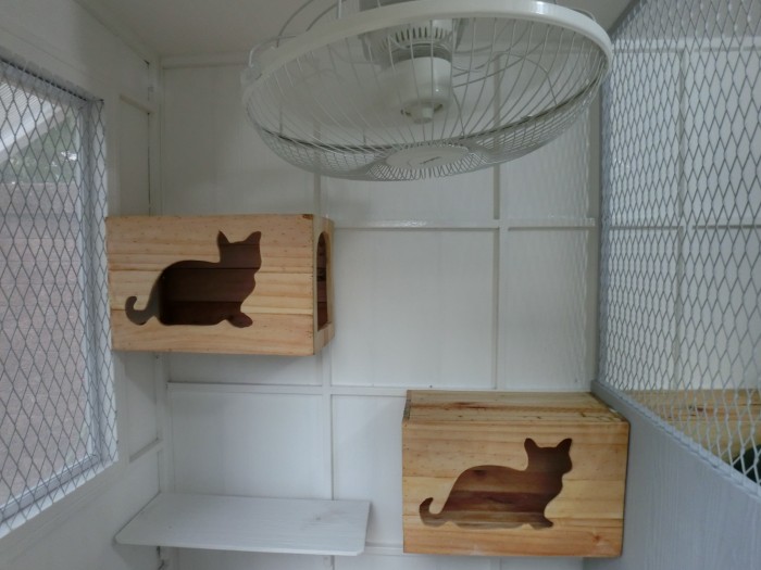 รับสร้างบ้านหมา