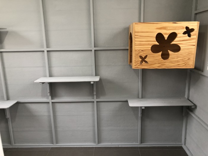 รับสร้างบ้านหมา