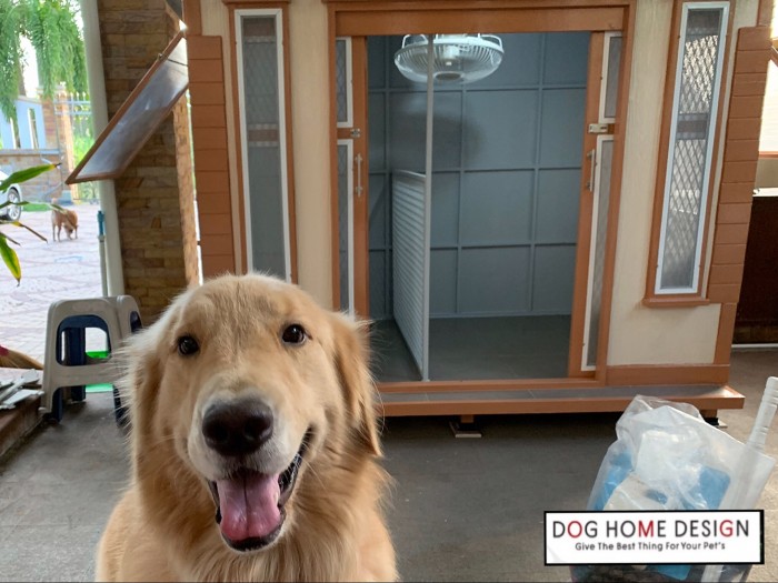 รับสร้างบ้านหมา