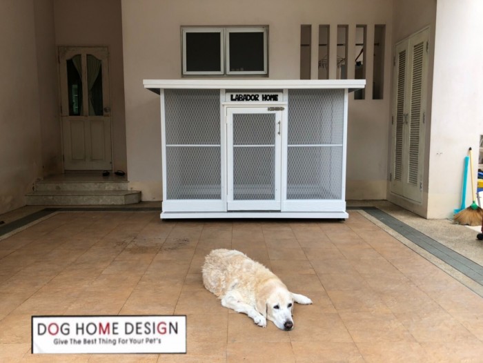 รับสร้างบ้านหมา